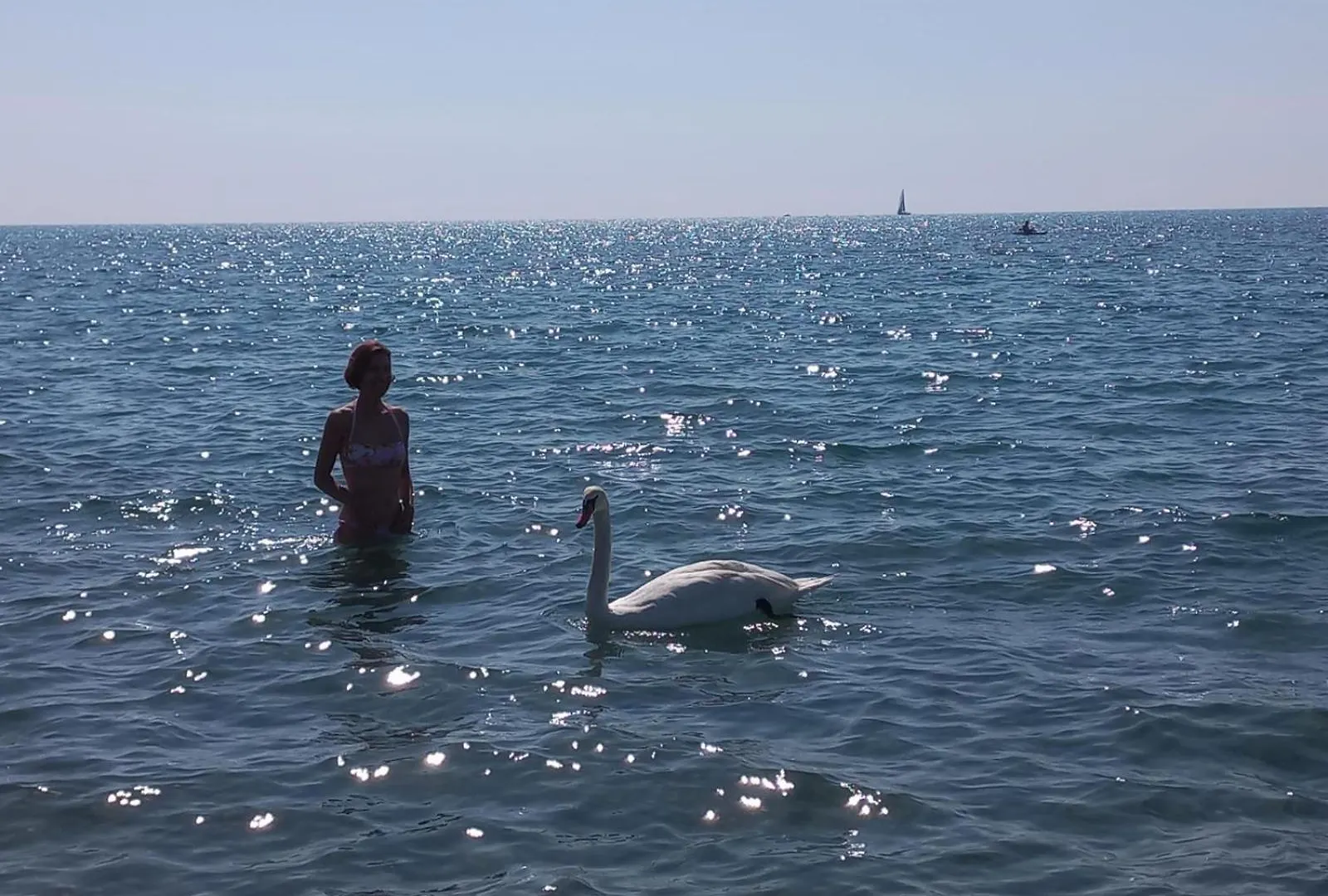 Attico Tra Cielo E Mare Lido Di Roma Apartment Lido di Ostia